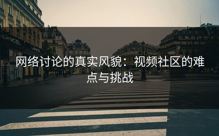 网络讨论的真实风貌：视频社区的难点与挑战