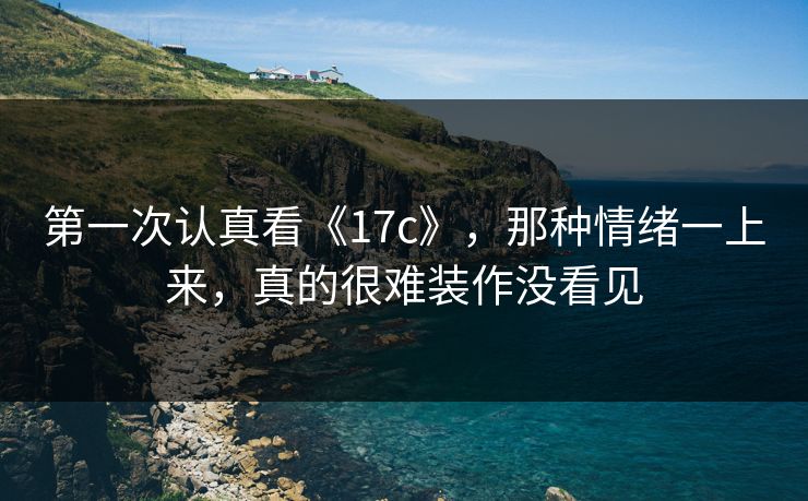 第一次认真看《17c》，那种情绪一上来，真的很难装作没看见